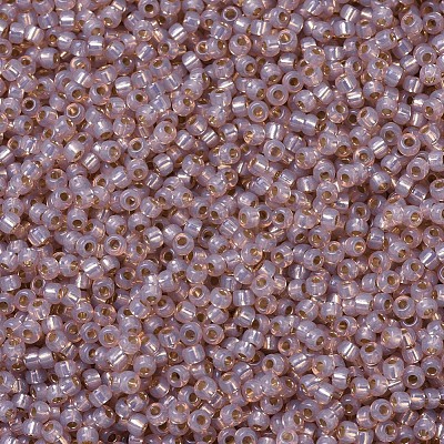 MIYUKI Round Rocailles Beads SEED-JP0008-RR0579-1
