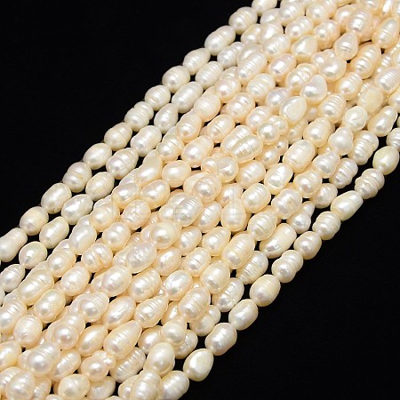 Natural Cultured Freshwater Pearl Beads Strands X-PEAR-L001-E-20-1