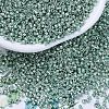 MIYUKI Delica Beads SEED-MY11-DB0415-1