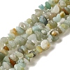 Natural Flower Amazonite Chips Beads Strands X-G-M205-12-01-2