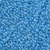 12/0 FGB Grade A Round Glass Seed Beads SEED-N001-F-256-2