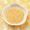 Transparent Colours Glass Seed Beads SEED-H003-01H-2