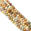 Natural Crazy Lace Agate Round Bead Strands X-G-E334-4mm-20-2