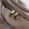 Alloy Enamel Earrings for Women LS-FS-WG67811-71-1