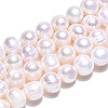 Natural Cultured Freshwater Pearl Beads Strands X-PEAR-N013-17N-01-5