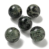 Natural Rhyolite Jasper Round Ball Figurines Statues for Home Office Desktop Decoration G-P532-02A-11-1