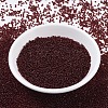 MIYUKI Round Rocailles Beads SEED-X0054-RR2410-2