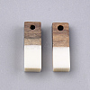 Resin & Walnut Wood Pendants RESI-S358-19B-2