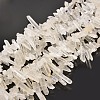 Natural Rough Quartz Crystal Beads Strands X-G-I111-02-1