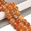 Natural Agate Beads Strands G-L595-A01-01B-2