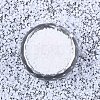 FGB 11/0 Grade A Glass Seed Beads X-SEED-S030-1141-3