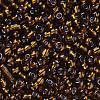8/0 Glass Seed Beads X-SEED-A005-3mm-53-2
