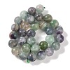 Natural Fluorite Beads Strands G-P530-B04-05-4