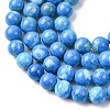 Natural Howlite Beads Strands G-H343-D06-12mm-B-4