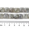 Natural Labradorite Beads Strands G-K359-B17-01-5