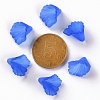 Frosted Acrylic Bead Caps MACR-S371-10A-751-4