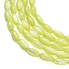 Natural Freshwater Shell Beads Strands SHEL-C010-01D-2