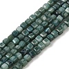 Natural Freshwater Shell Dyed Beads Strands SHEL-R100-11A-05-1