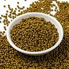 MIYUKI Round Rocailles Beads SEED-G008-RR4456-2