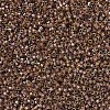 MIYUKI Delica Beads X-SEED-J020-DB0287-3