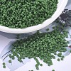 MIYUKI Round Rocailles Beads SEED-G007-RR0411F-1