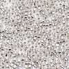 Glass Seed Beads SEED-S042-04B-06-3