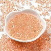 Glass Seed Beads SEED-K009-08A-02-2