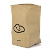 Washable Kraft Paper Bags CARB-H029-05-2