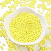 Baking Paint Glass Seed Beads SEED-A033-04I-4