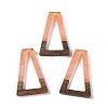Resin & Wood Pendants WOOD-F015-10B-1