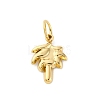 304 Stainless Steel Charms LS-STAS-U049-03A-03G-1