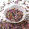 Baking Paint Glass Seed Beads X-SEED-S042-05A-13-2