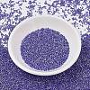 MIYUKI Delica Beads SEED-X0054-DB1569-2