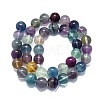 Natural Fluorite Beads Strands G-K245-A10-05-2