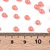 Glass Seed Beads SEED-T007-01E-4