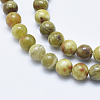 Natural Serpentine Jade Beads Strands G-P353-06-8mm-3