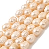 Natural Cultured Freshwater Pearl Beads Strands PEAR-I007-01E-01B-2