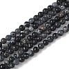 Dyed Natural Regalite/Imperial Jasper/Sea Sediment Jasper Beads Strands G-B124-C05-05-1