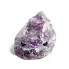 Natural Amethyst Cute Display Decoration PW-WG55978-07-1