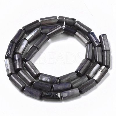 Natural Freshwater Shell Beads SHEL-R047-01A-1