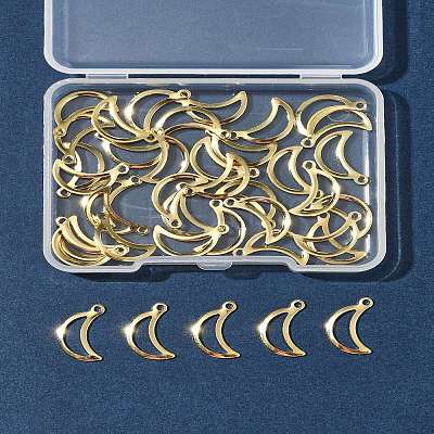 40Pcs 304 Stainless Steel Charms STAS-FS0001-51-1