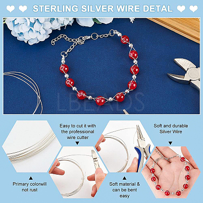 1Pc 999 Fine Silver Wire STER-BC0001-66A-1