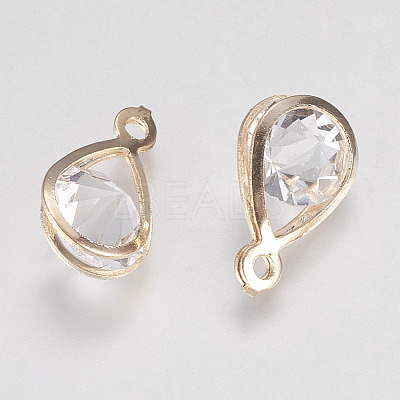 Glass Rhinestone Pendants IFIN-F144-24G-1