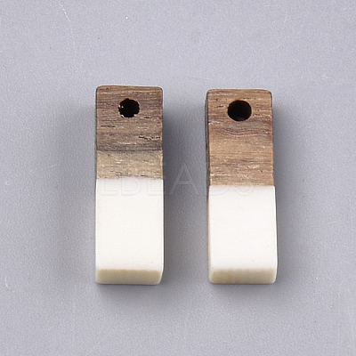Resin & Walnut Wood Pendants RESI-S358-19B-1