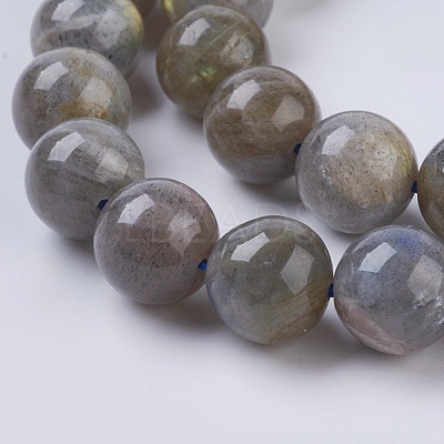 Natural Labradorite Beads Strands G-G212-10mm-23-1
