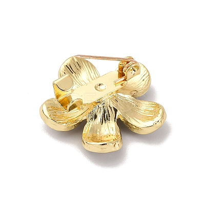 Zinc Alloy Rhinestone  Lapel Pins for Backpack Clothes JEWB-D305-02C-G-1