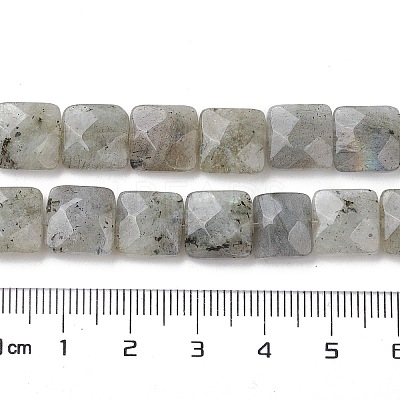 Natural Labradorite Beads Strands G-K359-B17-01-1