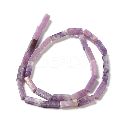 Natural Lepidolite/Purple Mica Stone Beads Strands G-E612-C05-B-1