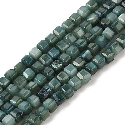 Natural Freshwater Shell Dyed Beads Strands SHEL-R100-11A-05-1