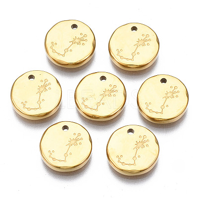 316 Surgical Stainless Steel Charms LS-STAS-S116-418J-G-1